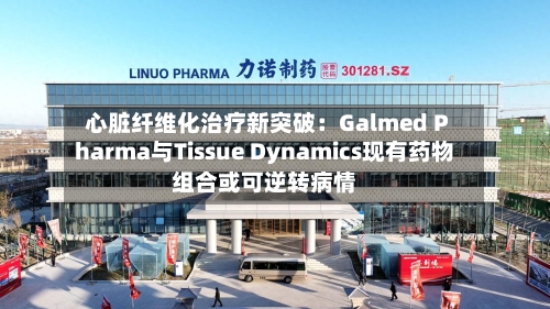 心脏纤维化治疗新突破:Galmed Pharma与Tissue Dynamics现有药物组合或可逆转病情-第3张图片