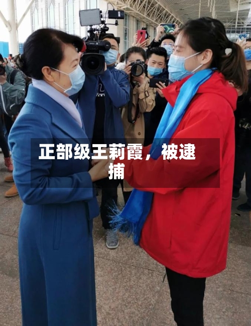正部级王莉霞	，被逮捕-第2张图片