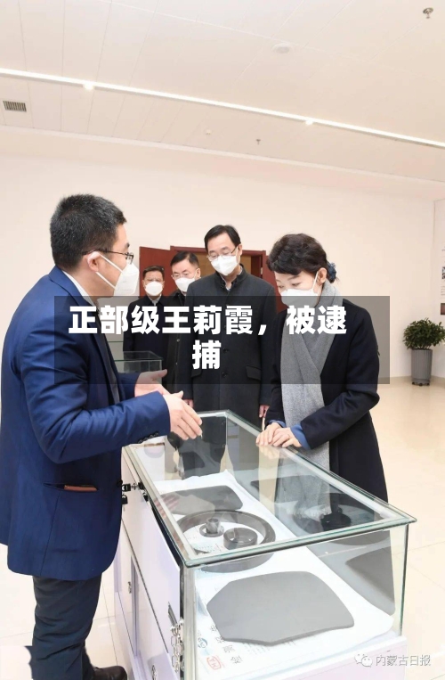 正部级王莉霞，被逮捕-第3张图片
