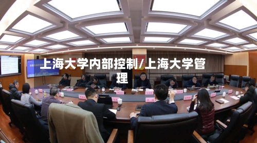 上海大学内部控制/上海大学管理