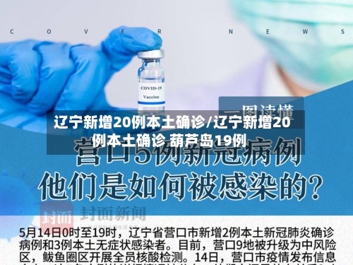 辽宁新增20例本土确诊/辽宁新增20例本土确诊 葫芦岛19例-第2张图片