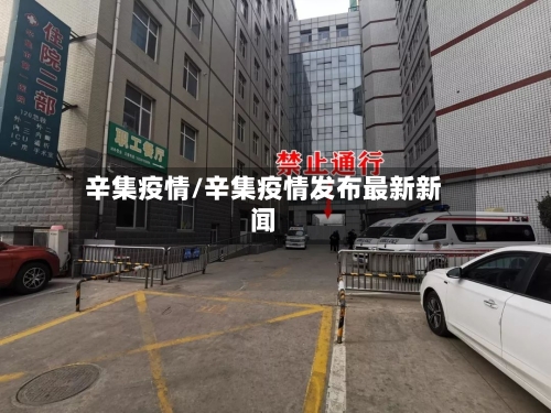 辛集疫情/辛集疫情发布最新新闻