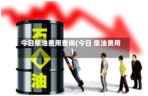 今日柴油费用查询(今日 柴油费用)-第2张图片
