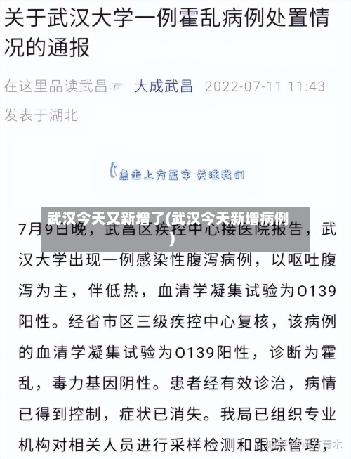 武汉今天又新增了(武汉今天新增病例)
